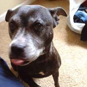 Meet your Posher, D Malek